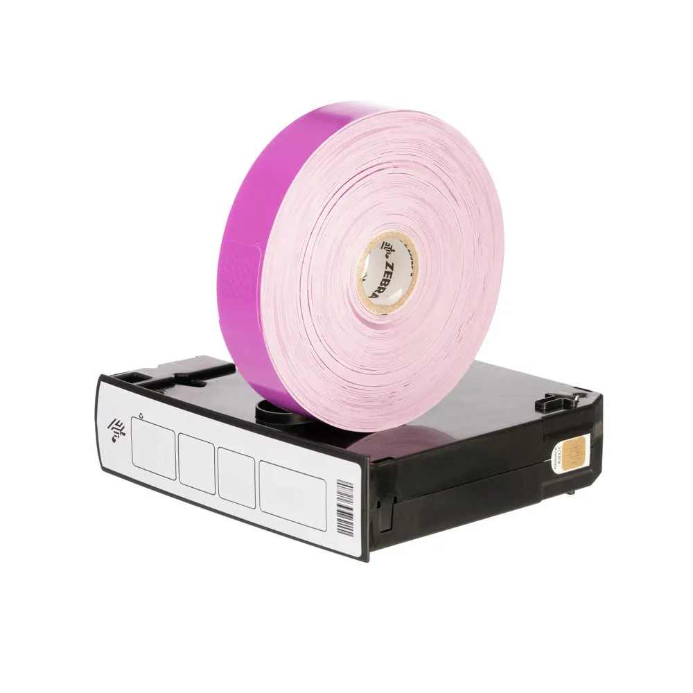 Bracelet Z-BAND SPLASH 25.4mm 254mm violet cartouche